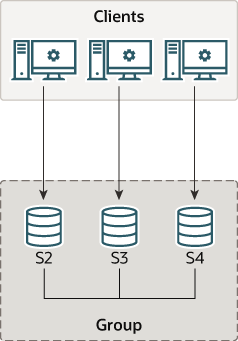 Three server instances, S1, S2, and S3, are deployed as an interconnected group, and clients communicate with each of the server instances.