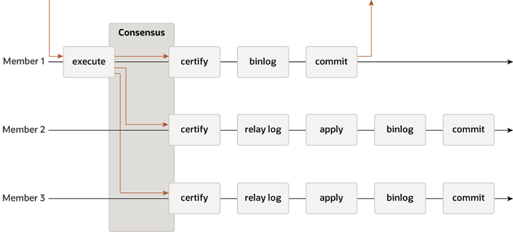 A transaction received by Source 1 is executed. Source 1 then sends a message to the replication group, consisting of itself, Source 2, and Source 3. When all three members have reached consensus, they certify the transaction. Source 1 then writes the transaction to its binary log, commits it, and sends a response to the client application. Sources 2 and 3 write the transaction to their relay logs, then apply it, write it to the binary log, and commit it.